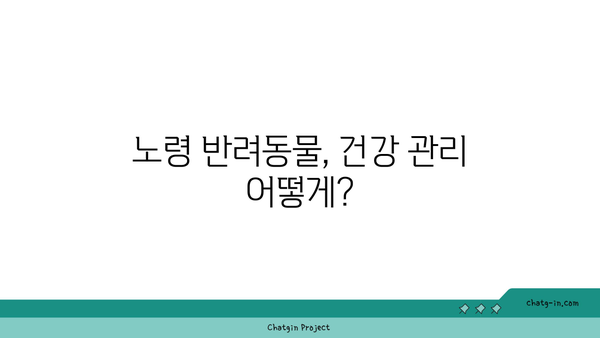 노령 펫보험,  있을까요?  내 반려동물에게 꼭 필요한 보험, 지금 확인하세요! | 노령견, 노령묘, 반려동물 보험, 보장 범위, 비교