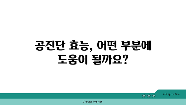 한의원 공진단 복용, 제대로 알고 드세요! | 공진단 효능, 복용법, 주의사항