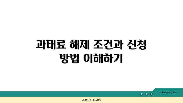 자동차 의무보험 미가입 시 과태료와 처벌 | 해제 방법 및 필수 정보 가이드