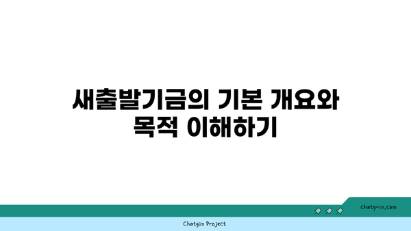 새출발기금 부실우려차주 지원 조건과 신청 방식 완벽 가이드 | 지원 정책, 신청 절차, 금융 지원