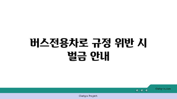 경부고속도로 버스전용차로 통행 금지 기준 명확히 알아보기