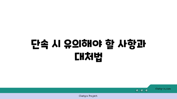 고속도로 버스전용차로 카니발 단속 및 벌금 정보