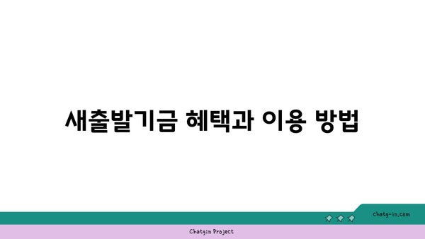 2024년 바뀐 새출발기금 조건과 부실차주 신청 방식 완벽 가이드 | 새출발기금, 부실채권, 재정지원"