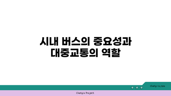 시내 버스와 대중교통 버스전용차로 이용 안내