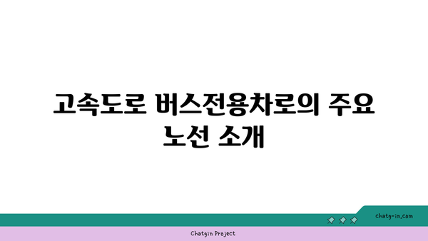 고속도로 버스전용차로 시간 운행 기준 알아보기