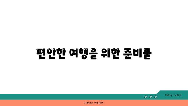 천안 터미널에서 청주 공항까지 버스전용차로를 이용한 여행 방법