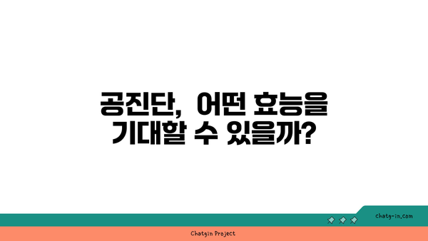 공진단, 왜 이렇게 비쌀까? | 재료, 제조 공정, 효능까지 파헤쳐 보는 심층 분석