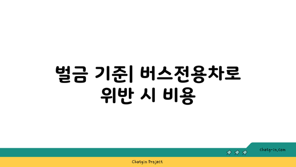 고속도로 버스전용차로 벌금 및 위반 시간