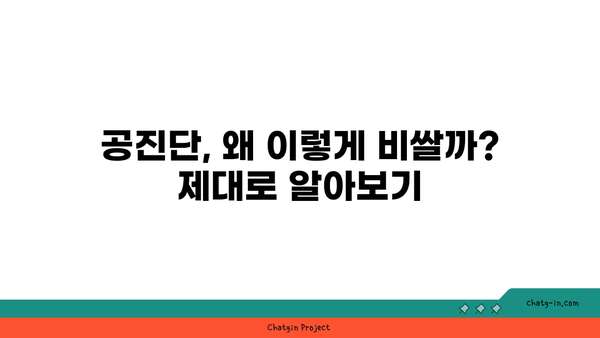 공진단, 왜 이렇게 비쌀까? | 고품질 재료와 까다로운 제조 공정의 비밀