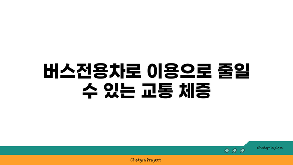 경부고속도로 버스전용차로 시간 구간 안내