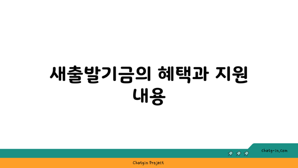 새출발기금 신청 유의사항 및 채무조정 영향 완벽 가이드 | 새출발기금, 채무조정, 금융 지원"