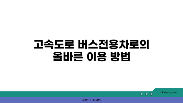 고속도로 버스전용차로에서 카니발 차량 단속 및 벌금 정보