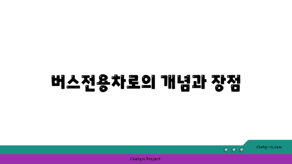 시내 버스와 대중교통 버스전용차로 이용 안내