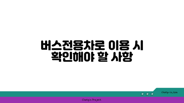 카니발 차량 고속도로 버스전용차로 이용 단속 기준