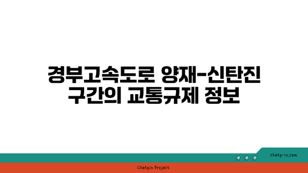 2024 추석 연휴 버스전용차로 시간대, 과태료, 경부고속도로 양재-신탄진 구간 정보