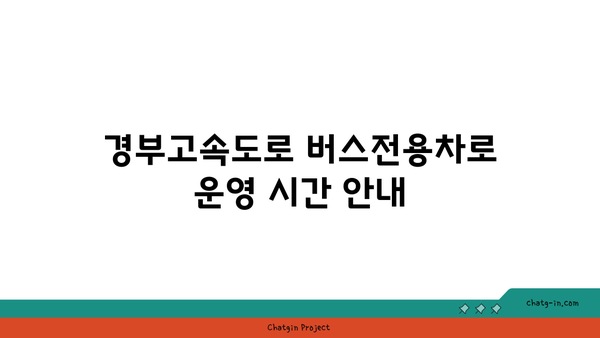 경부고속도로 버스전용차로 시간 위반 기준 확실히 파악하자!