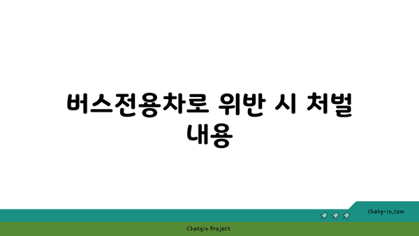 카니발 차량 고속도로 버스전용차로 이용 단속 기준