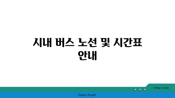 시내 버스와 대중교통 버스전용차로 이용 안내