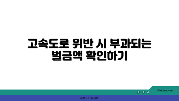 고속도로 버스전용차로에서 카니발 차량 단속 및 벌금 정보