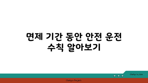 추석 명절 고속도로 면제 기간 및 버스전용차로 운영 여부