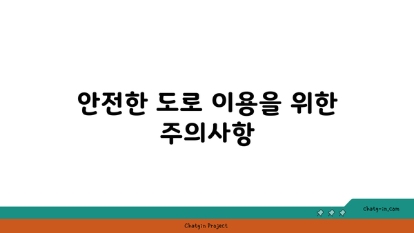 버스전용차로 운행 시 벌금 점수 안내