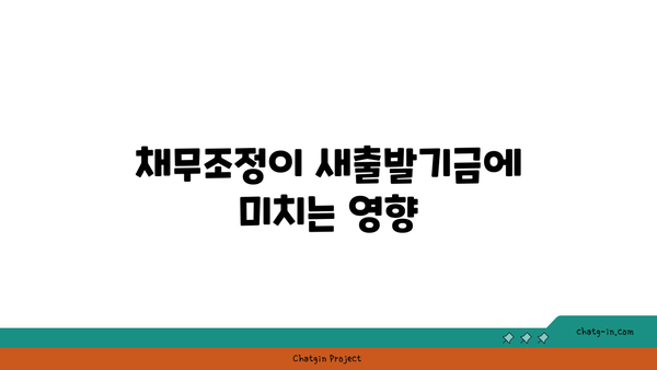 새출발기금 신청 유의사항 및 채무조정 영향 완벽 가이드 | 새출발기금, 채무조정, 금융 지원"