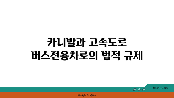 고속도로 버스전용차로 카니발 단속 및 벌금 정보