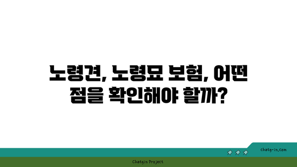 노령 펫보험,  있을까요?  내 반려동물에게 꼭 필요한 보험, 지금 확인하세요! | 노령견, 노령묘, 반려동물 보험, 보장 범위, 비교