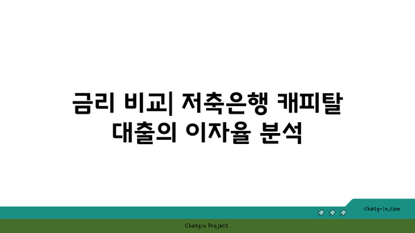 저축은행 캐피탈 대출 상품 분석 | 다양한 옵션과 이용 가이드 제공