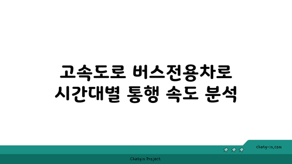 고속도로 버스전용차로 시간 분석