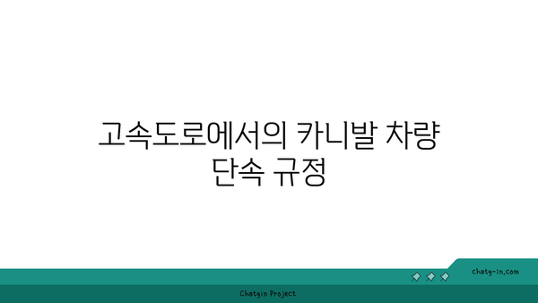 카니발 차량 고속도로 버스전용차로 이용 단속 기준