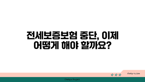 전세보증보험 중단, 나에게 맞는 해결책은? | 전세보증보험, 중단 대책, 계약 해지, 대안