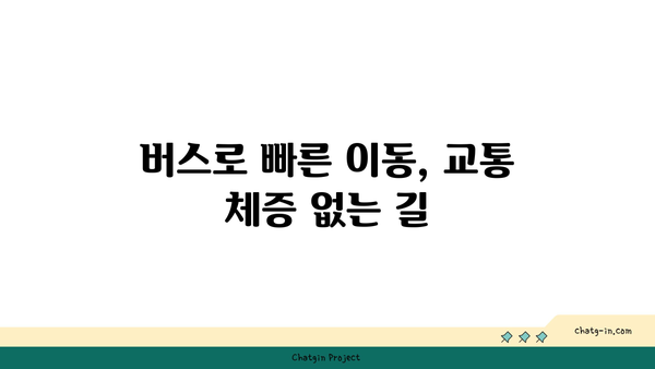 경부고속도로 버스전용차로 시간 구간 자세히 알아보기