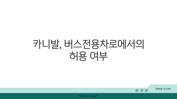 고속도로 버스전용차로 카니발 단속 및 벌금 정보 정리