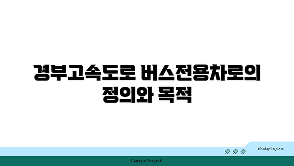 경부고속도로 버스전용차로 통행 금지 기준 명확히 알아보기