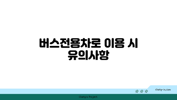 고속도로 및 일반도로 버스전용차로: 이용 방법 및 단속 기준