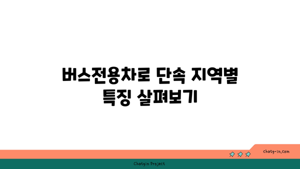 고속도로 버스전용차로 구간 조정 및 단속 지역 정보 확인하기