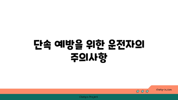 고속도로 버스전용차로에서 카니발 차량 단속 및 벌금 정보