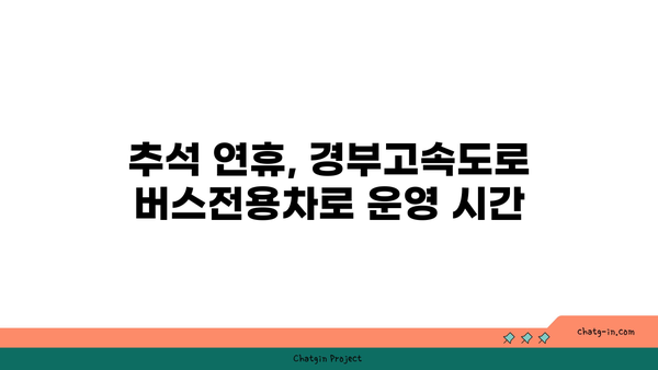 추석 경부고속도로 버스전용차로 시간 기준