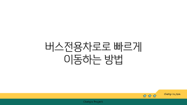 명절 특별 경부고속도로 버스전용차로 시간 확인