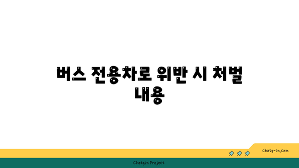 고속도로 버스 전용차로 사용 기준 안내