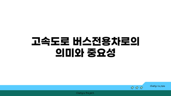 고속도로 버스전용차로 카니발 단속 및 벌금 정리