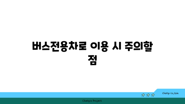 고속도로와 일반도로 버스전용차로 이용 및 단속 기준 총 정리