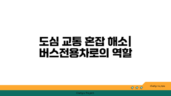 버스전용차로 이용 시 정시 도착 가능