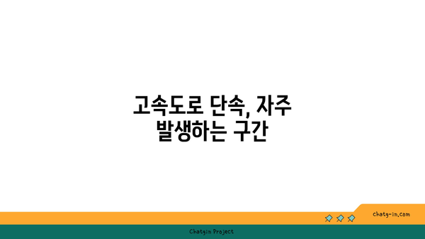 고속도로 버스전용차로 운행 중지 시간 및 단속 지역 파악