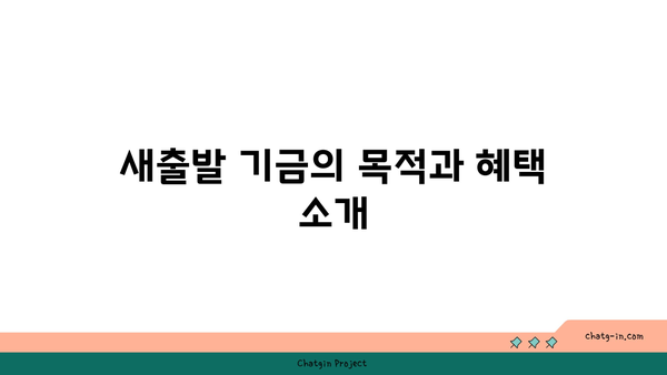 새출발 기금 신청 방법과 자격 조건, 필요 서류 완벽 가이드 | 새출발 기금, 정부 지원, 신청 절차