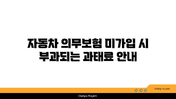 자동차 의무보험 미가입 시 과태료와 처벌 | 해제 방법 및 필수 정보 가이드