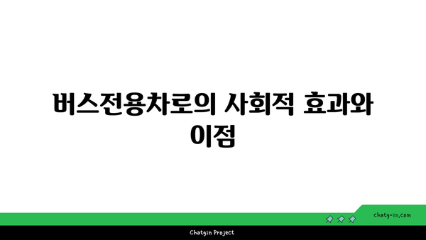 버스전용차로 이용 방법 및 단속 기준 종합 안내