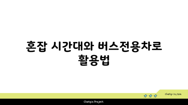 고속도로 버스전용차로 운영 시간 및 구간별 안내