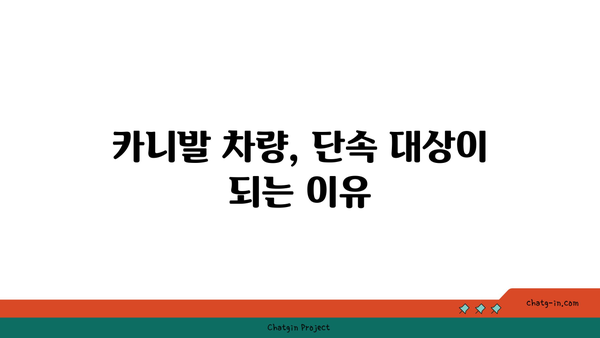 고속도로 버스전용차로에서 카니발 차량 단속 및 벌금 정보